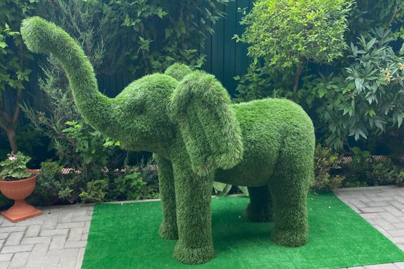 «Морская Жемчужина» гостевой дом, Ейск